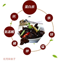 百盛禾野生秋木耳
